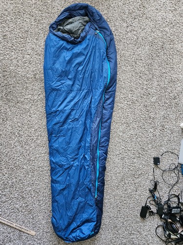 Marmot scandium f - marmot,